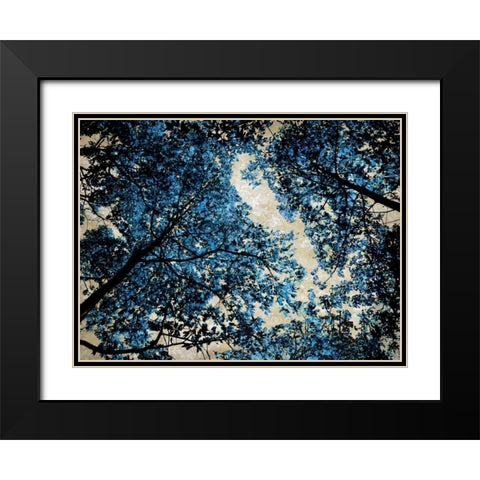 Blue Forest II Black Modern Wood Framed Art Print with Double Matting by Scott, Derek