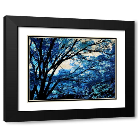Blue Forest III Black Modern Wood Framed Art Print with Double Matting by Scott, Derek