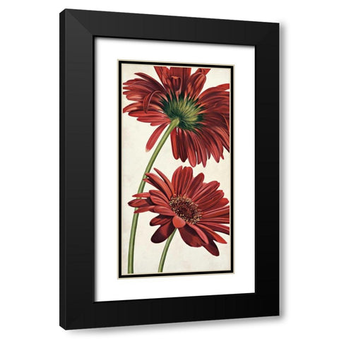 Armonie in rosso Black Modern Wood Framed Art Print with Double Matting by Barberini, Eva