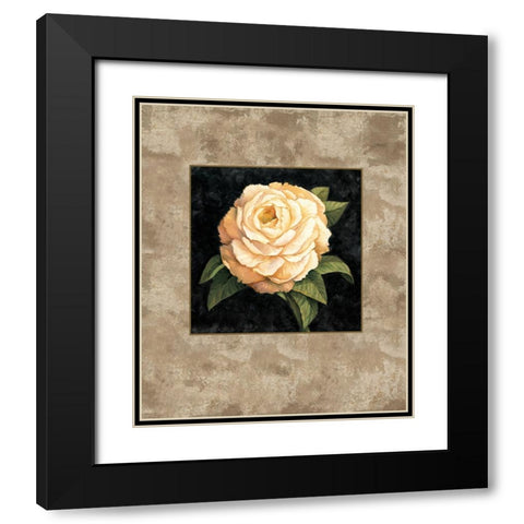 Yellow Peony Black Modern Wood Framed Art Print with Double Matting by Lopez, E.