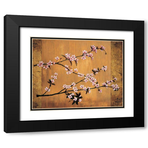 Cherry Blossoms Black Modern Wood Framed Art Print with Double Matting by Lange, Erin
