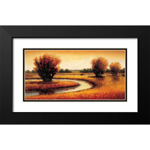 Golden Reflections II Black Modern Wood Framed Art Print with Double Matting by Williams, Gregory