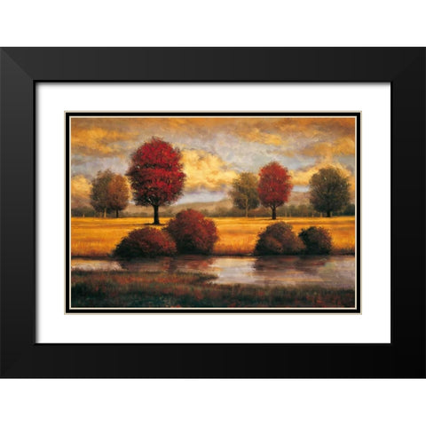 Serene II Black Modern Wood Framed Art Print with Double Matting by Williams, Gregory