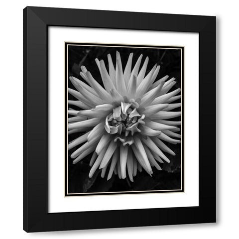 BandW Pop Black Modern Wood Framed Art Print with Double Matting by Bannon, Heidi