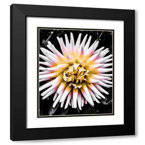 Color Pop Yellow Black Modern Wood Framed Art Print with Double Matting by Bannon, Heidi