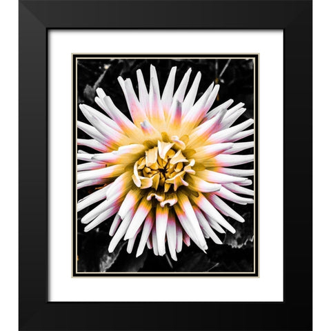 Color Pop Yellow Black Modern Wood Framed Art Print with Double Matting by Bannon, Heidi