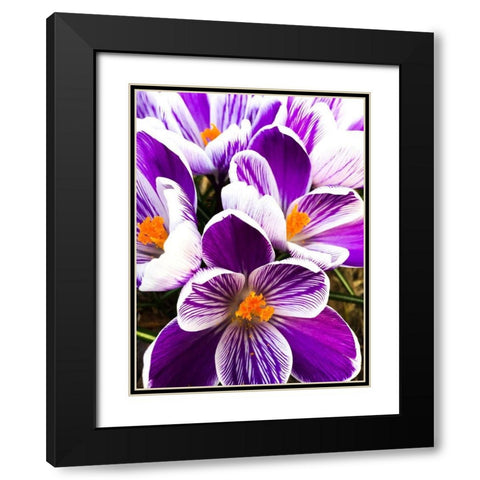 Springtime Dance Black Modern Wood Framed Art Print with Double Matting by Bannon, Heidi