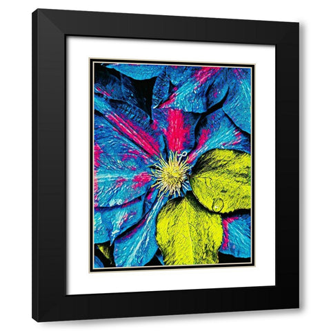 Clematis Abstract Black Modern Wood Framed Art Print with Double Matting by Bannon, Heidi