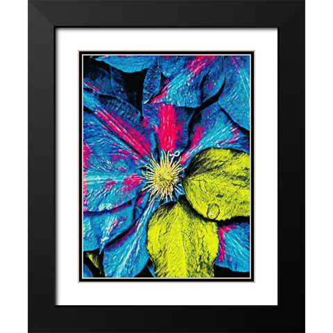 Clematis Abstract Black Modern Wood Framed Art Print with Double Matting by Bannon, Heidi
