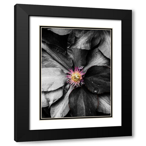 Just a Touch Black Modern Wood Framed Art Print with Double Matting by Bannon, Heidi