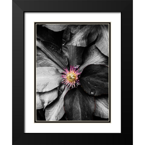 Just a Touch Black Modern Wood Framed Art Print with Double Matting by Bannon, Heidi