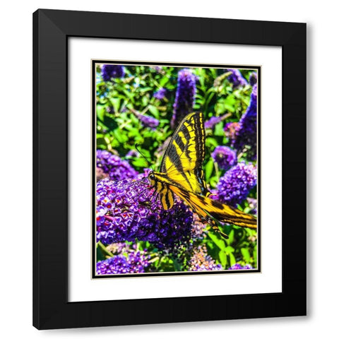 Coming in for a Landing I Black Modern Wood Framed Art Print with Double Matting by Bannon, Heidi