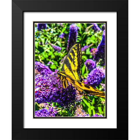 Coming in for a Landing I Black Modern Wood Framed Art Print with Double Matting by Bannon, Heidi