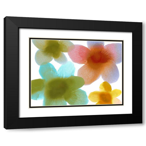 Floral Friends I Black Modern Wood Framed Art Print with Double Matting by Carlson, Hannah