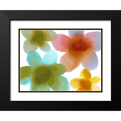 Floral Friends I Black Modern Wood Framed Art Print with Double Matting by Carlson, Hannah