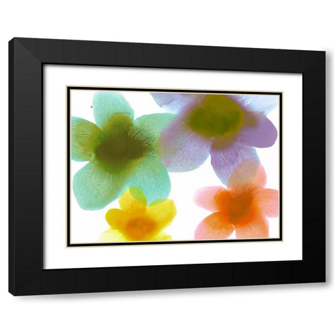 Floral Friends II Black Modern Wood Framed Art Print with Double Matting by Carlson, Hannah