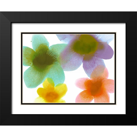 Floral Friends II Black Modern Wood Framed Art Print with Double Matting by Carlson, Hannah