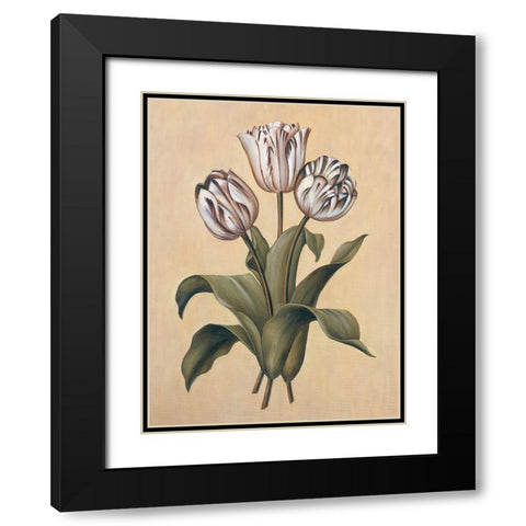 Tulips II Black Modern Wood Framed Art Print with Double Matting by Deveraux, Jill