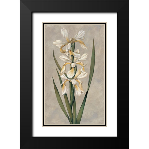 Decorative Irises II Black Modern Wood Framed Art Print with Double Matting by Deveraux, Jill
