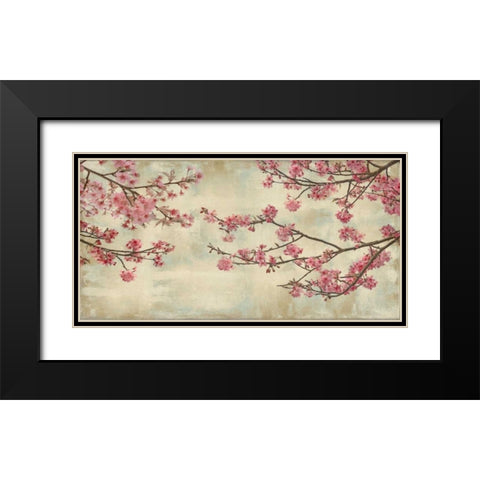 Cherry Blossoms Black Modern Wood Framed Art Print with Double Matting by Seba, John
