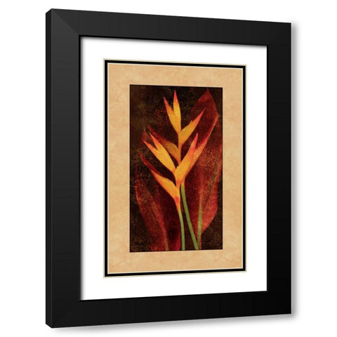Heliconia Black Modern Wood Framed Art Print with Double Matting by Seba, John