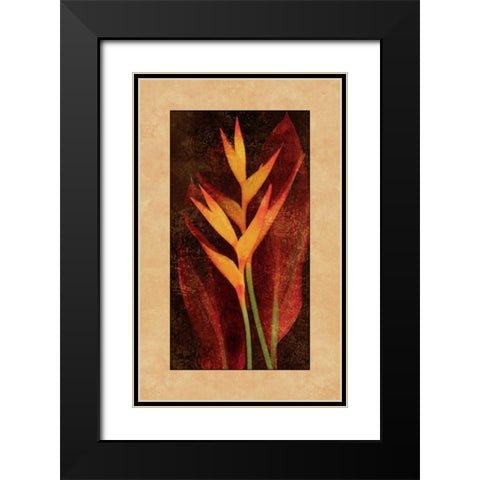 Heliconia Black Modern Wood Framed Art Print with Double Matting by Seba, John