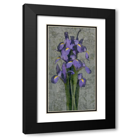 Purple Iris Black Modern Wood Framed Art Print with Double Matting by Seba, John
