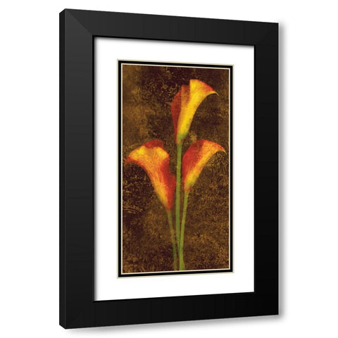 Callas Black Modern Wood Framed Art Print with Double Matting by Seba, John