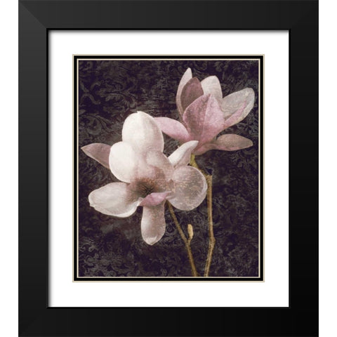 Pink Magnolias I Black Modern Wood Framed Art Print with Double Matting by Seba, John