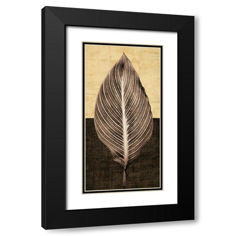 Palm Leaf I Black Modern Wood Framed Art Print with Double Matting by Seba, John
