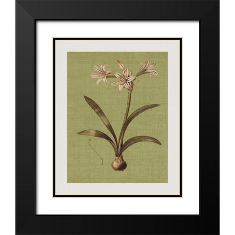 Botanica Verde I Black Modern Wood Framed Art Print with Double Matting by Seba, John