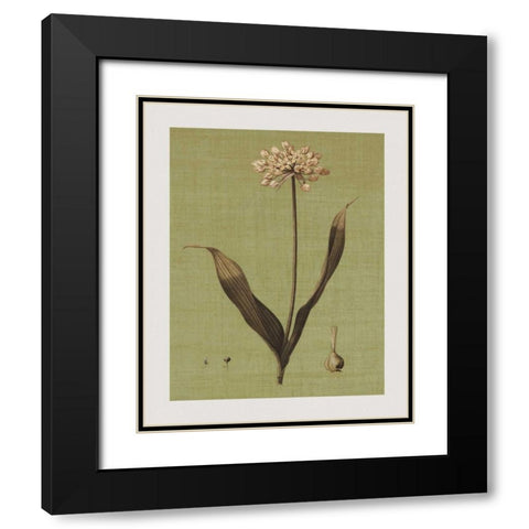 Botanica Verde III Black Modern Wood Framed Art Print with Double Matting by Seba, John