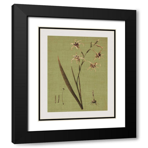 Botanica Verde IV Black Modern Wood Framed Art Print with Double Matting by Seba, John