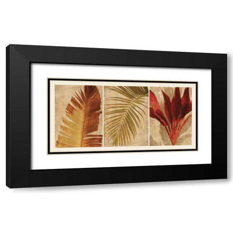 Palm Vista I Black Modern Wood Framed Art Print with Double Matting by Seba, John