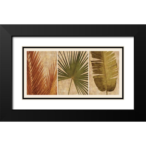 Palm Vista II Black Modern Wood Framed Art Print with Double Matting by Seba, John