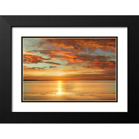 Sunlit Black Modern Wood Framed Art Print with Double Matting by Seba, John