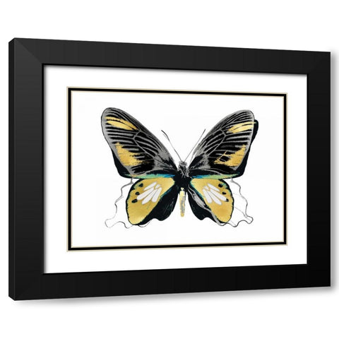Vibrant Butterfly VI Black Modern Wood Framed Art Print with Double Matting by Bosco, Julia