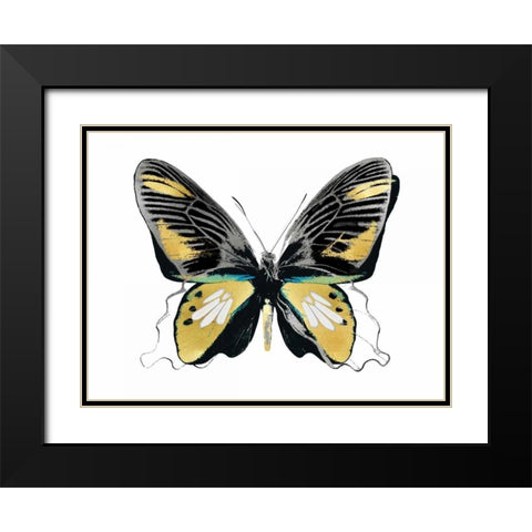 Vibrant Butterfly VI Black Modern Wood Framed Art Print with Double Matting by Bosco, Julia