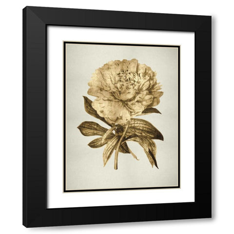 Gold Tulip II Black Modern Wood Framed Art Print with Double Matting by Bennett, Kate