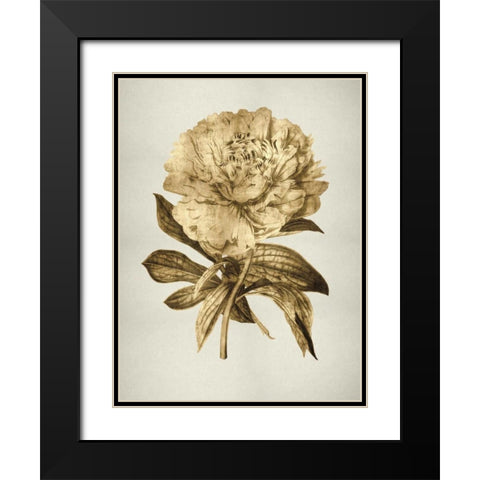 Gold Tulip II Black Modern Wood Framed Art Print with Double Matting by Bennett, Kate
