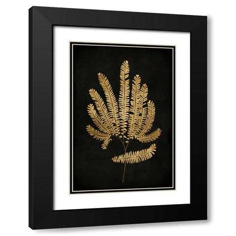 Golden Nature II Black Modern Wood Framed Art Print with Double Matting by Bennett, Kate