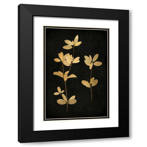 Golden Nature IV Black Modern Wood Framed Art Print with Double Matting by Bennett, Kate
