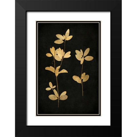 Golden Nature IV Black Modern Wood Framed Art Print with Double Matting by Bennett, Kate
