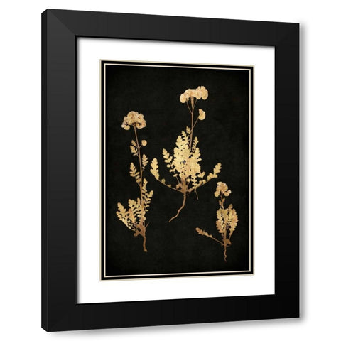 Golden Nature V Black Modern Wood Framed Art Print with Double Matting by Bennett, Kate