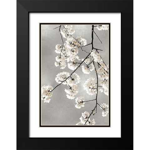 White Blossoms on Silver III Black Modern Wood Framed Art Print with Double Matting by Bennett, Kate