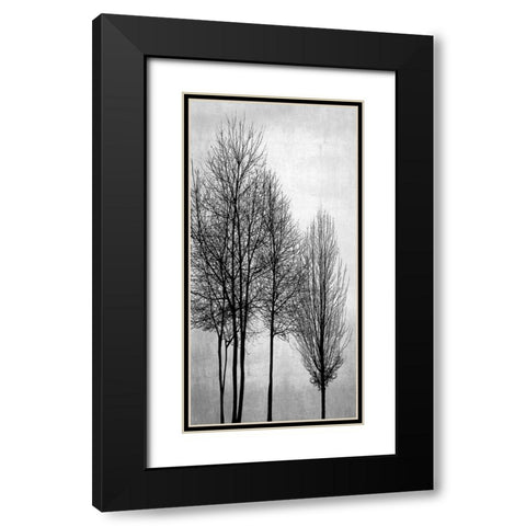 Trees on Silver Panel I Black Modern Wood Framed Art Print with Double Matting by Bennett, Kate