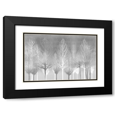 Silver Trees Black Modern Wood Framed Art Print with Double Matting by Bennett, Kate