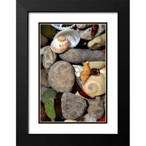 Petoskey Stones II  Black Modern Wood Framed Art Print with Double Matting by Calkins, Michelle