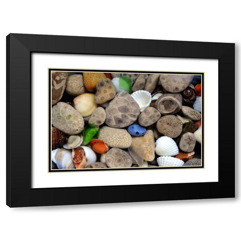 Petoskey Stones III Black Modern Wood Framed Art Print with Double Matting by Calkins, Michelle
