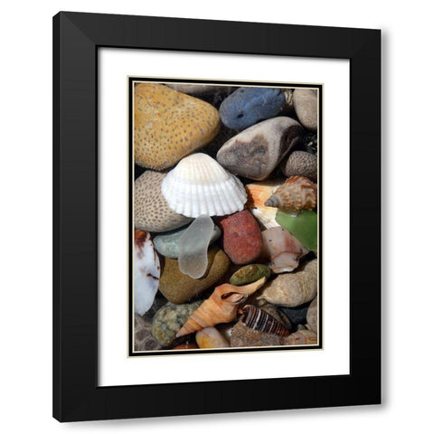 Petoskey Stones IV Black Modern Wood Framed Art Print with Double Matting by Calkins, Michelle